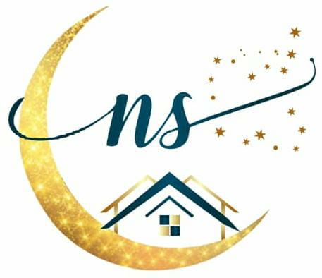 Nila Solutions Logo